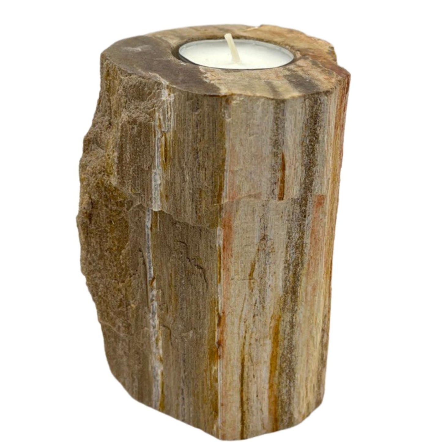 Petrified Wood Candle Holder | Earth, Time & Tranquillity | 3