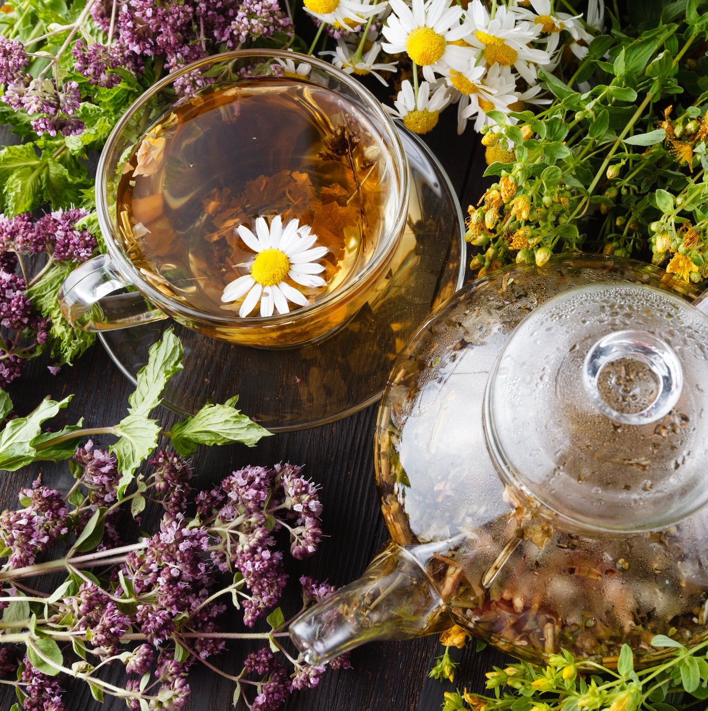 Sip & Stillness | Teas & Healing Blends