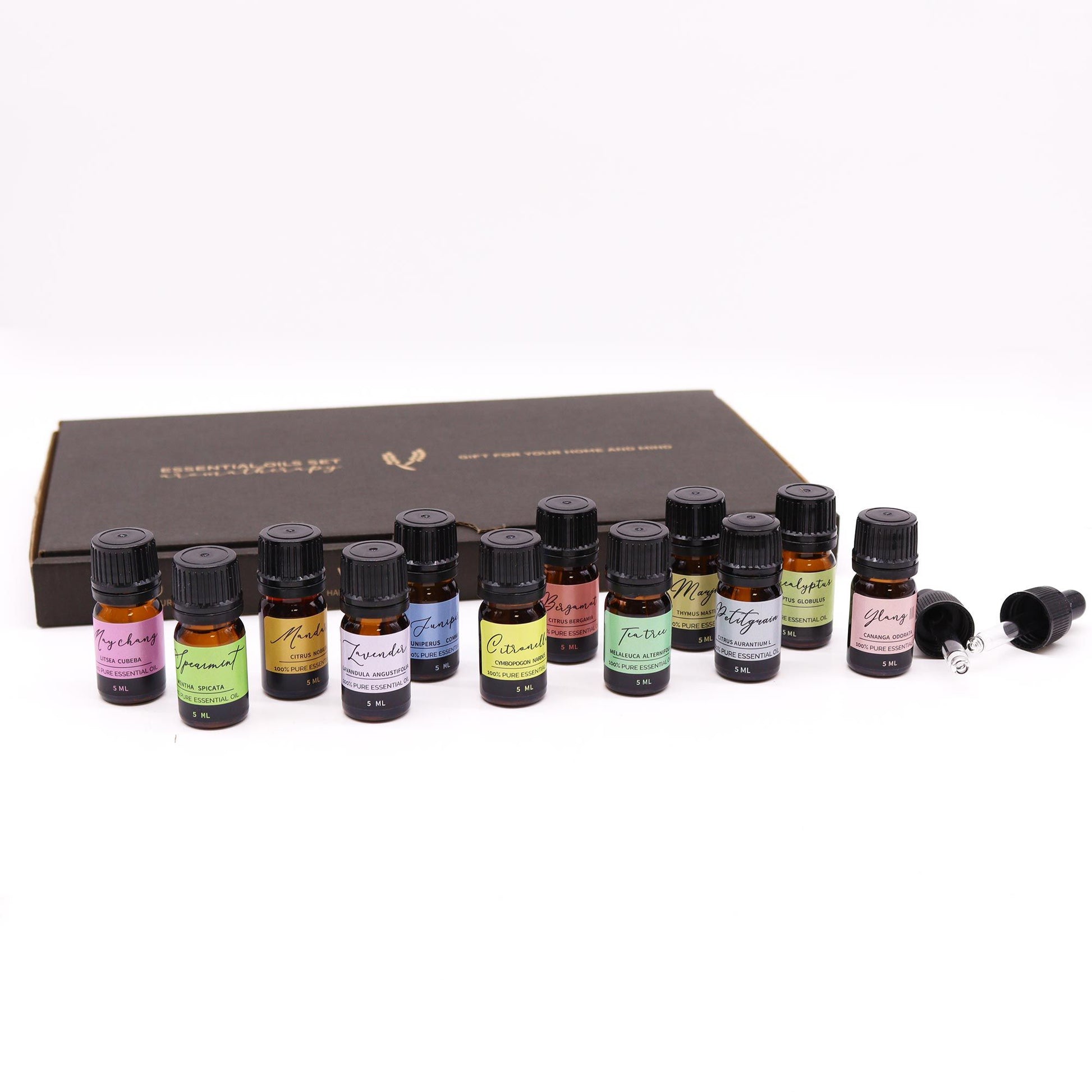 Aromatherapy Essential Oil Gift Set – Spring | Renewal, Balance & Botanical Bliss | 3