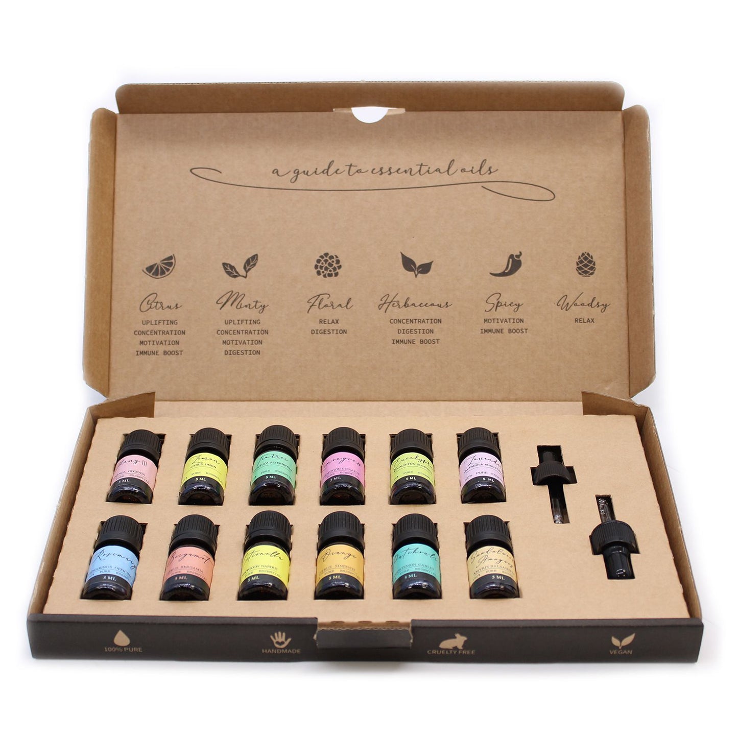Aromatherapy Essential Oil Gift Set – The Top 12 | Balance, Clarity & Everyday Wellness | 2