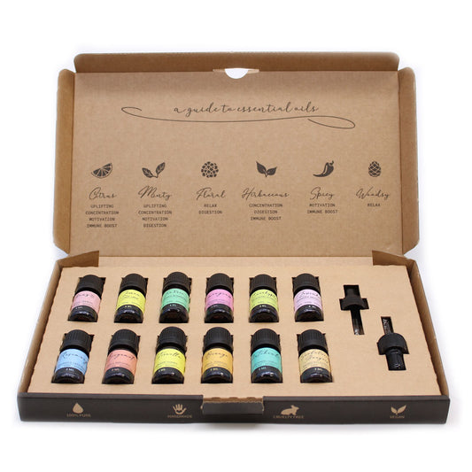 Aromatherapy Essential Oil Gift Set – The Top 12 | Balance, Clarity & Everyday Wellness | 2