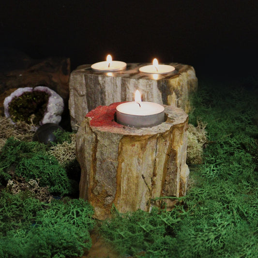 Petrified Wood Candle Holder | Earth, Time & Tranquillity | 2