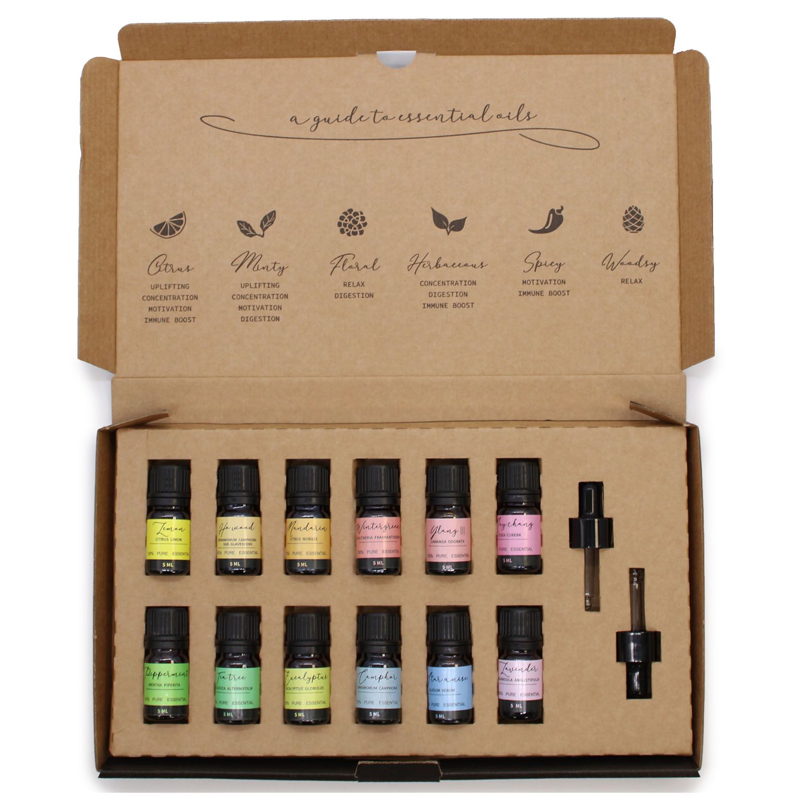 Aromatherapy Essential Oil Gift Set – Starter Pack | Balance, Clarity & Everyday Calm | 2