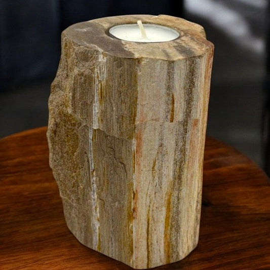 Petrified Wood Candle Holder | Earth, Time & Tranquillity | 1